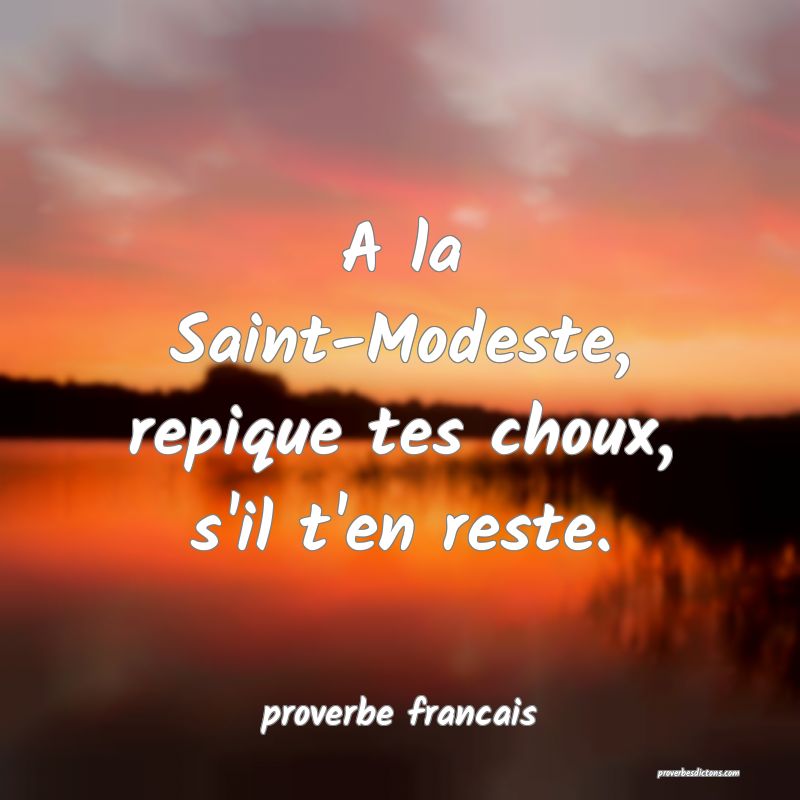 Résultat de recherche d'images pour "proverbe st modeste"