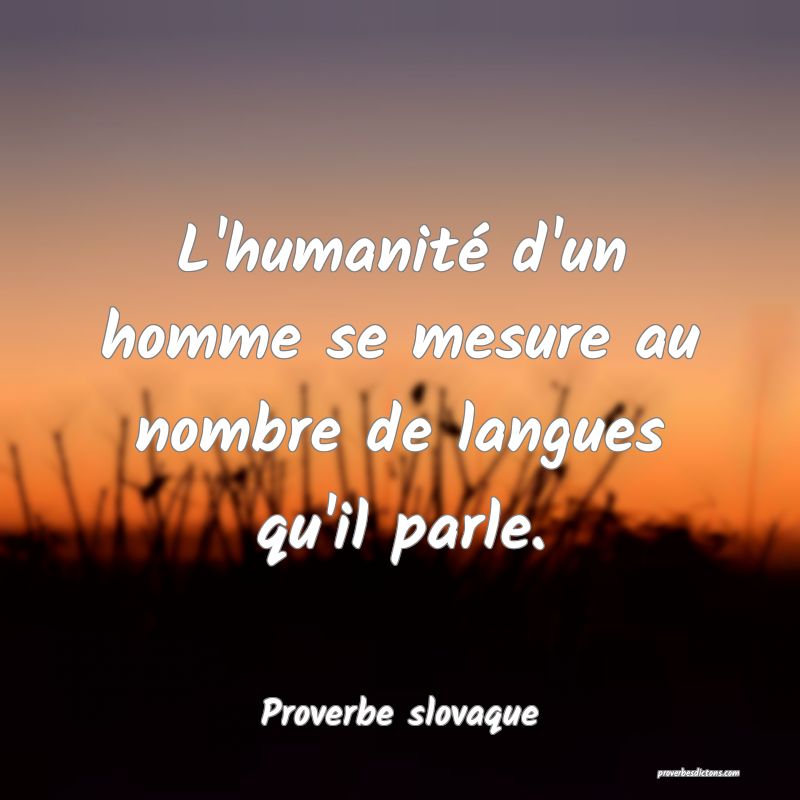 L'humanité d'un homme se mesure au nombre de langues qu'il parle.