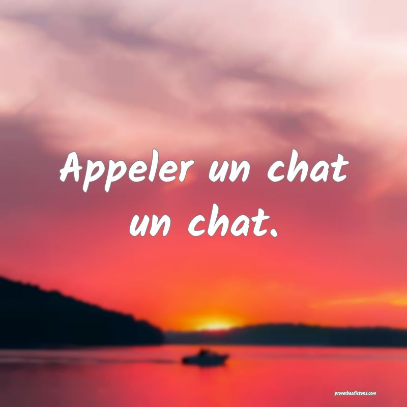 Appeler Un Chat Un Chat