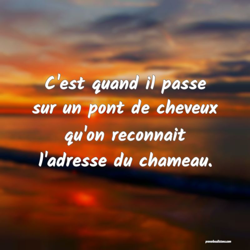 Que Fait Un Indien Quand Il Tombe Dans L'eau C'est quand il passe sur un pont de cheveux qu'on