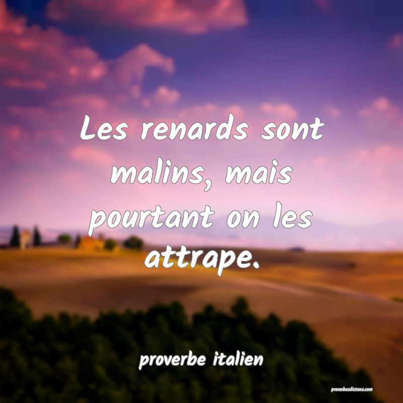 Les Renards Sont Malins Mais Pourtant On Les Attr