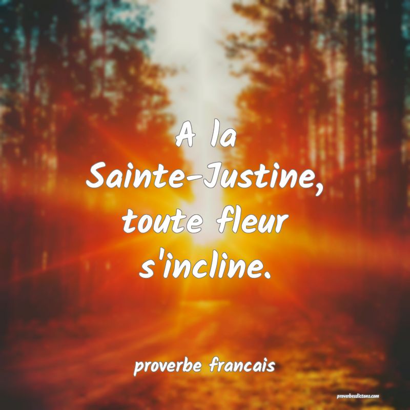 A la SainteJustine, toute fleur s'incline....