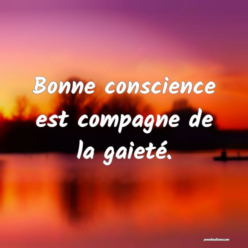 Bonne Conscience Est Un Doux Oreiller