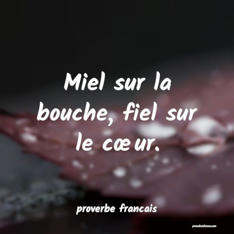 proverbe francais - Miel sur la bouche, fiel sur l ... 