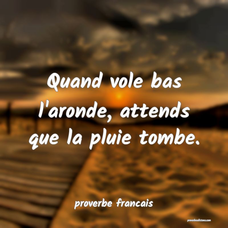 Que Fait Un Indien Quand Il Tombe à L'eau Quand vole bas l'aronde, attends que la pluie tomb...