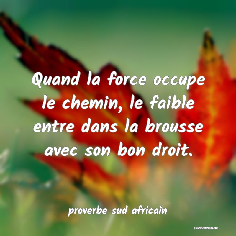 Proverbes sud-africains - Quand la force occupe le ... 