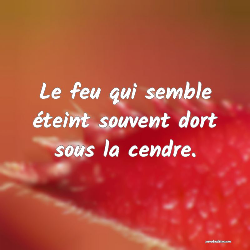 Une Fois Le Flambeau De La Vie Eteint Tout Homme