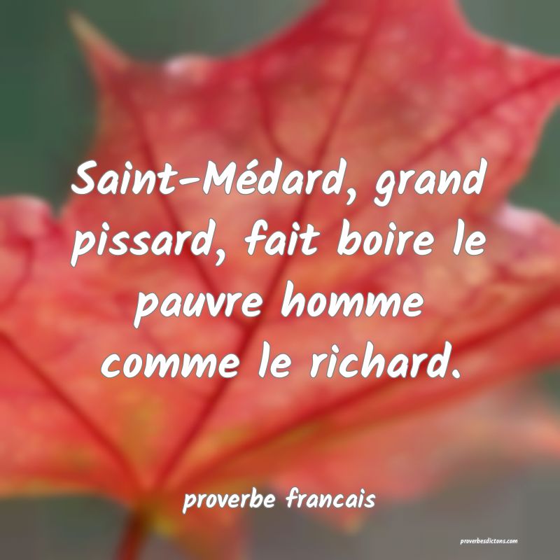 Saint-Médard, grand pissard, fait boire le pauvre homme comme le richard.