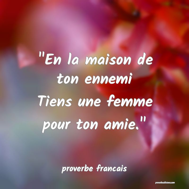 proverbe francais - 