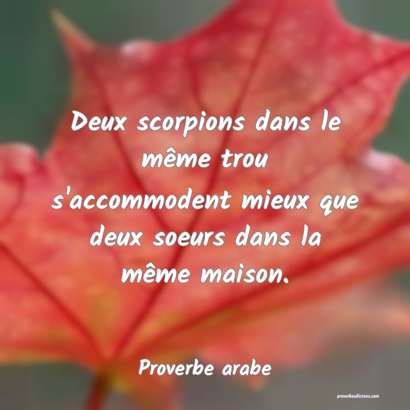 Deux scorpions dans le même trou s'accommodent mieux que deux soeurs dans la même maison.