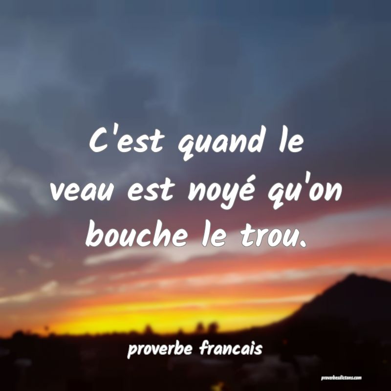 C Est Quand Le Veau Est Noye Qu On Bouche Le Trou