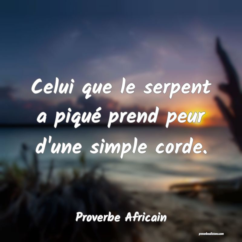 Celui que le serpent a piqué prend peur d'une simple corde.