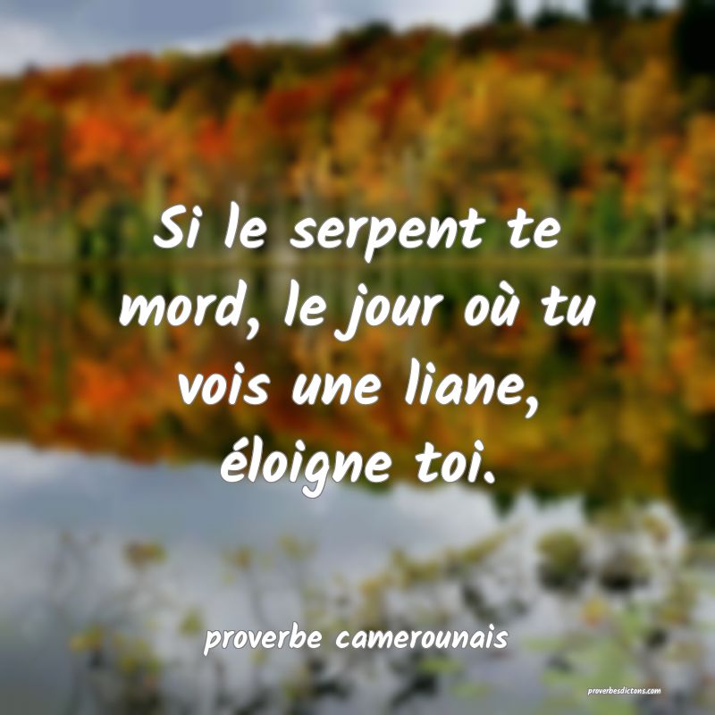 Si Tu Vois Un Serpent Sur Une Bicyclette C Est Qu Si Tu Vois Un Serpent Sur Une Bicyclette C Est Qu