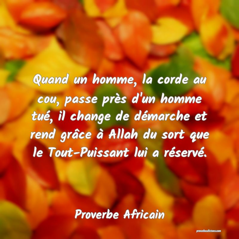 Proverbe Africain - Quand un homme, la corde au co ... 