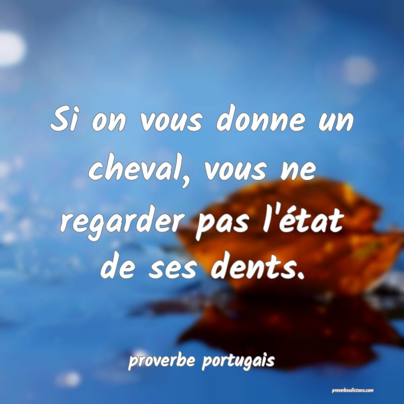 Proverbe Portugais