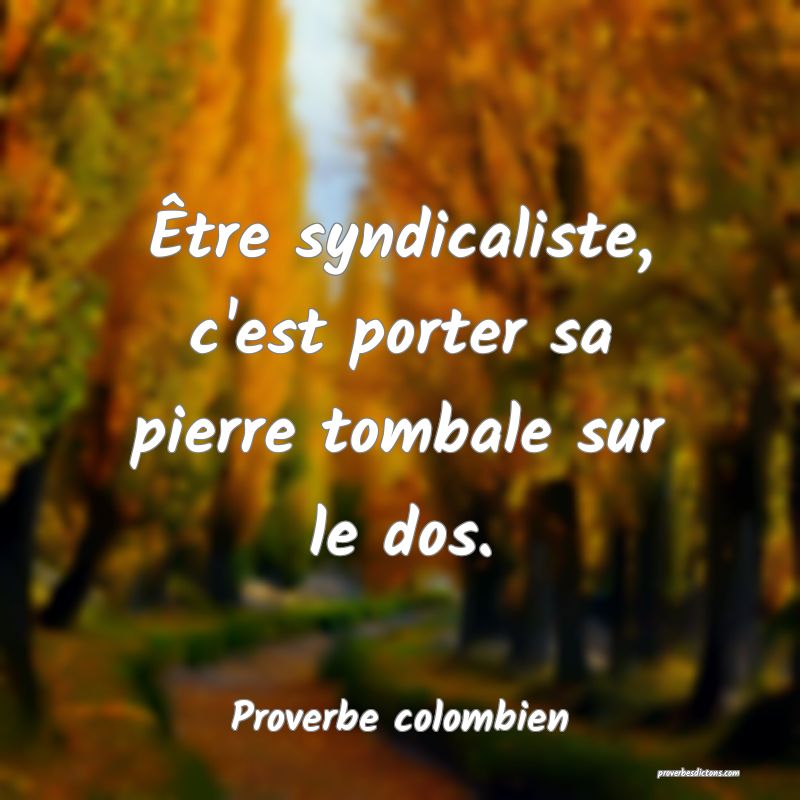 Proverbe Colombien