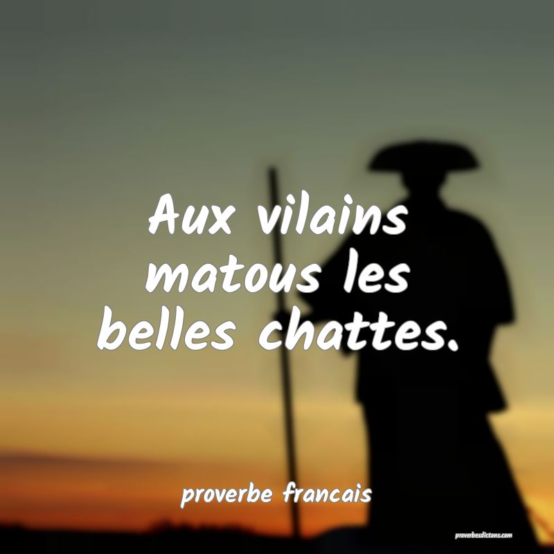 proverbe francais - Aux vilains matous les belles  ... 