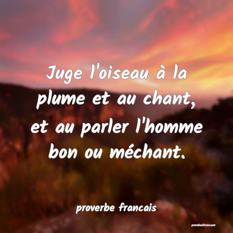 Juge L Oiseau A La Plume Et Au Chant Et Au Parle