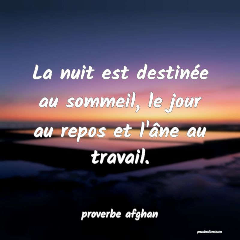 La nuit est destinée au sommeil, le jour au repos et l'âne au travail.