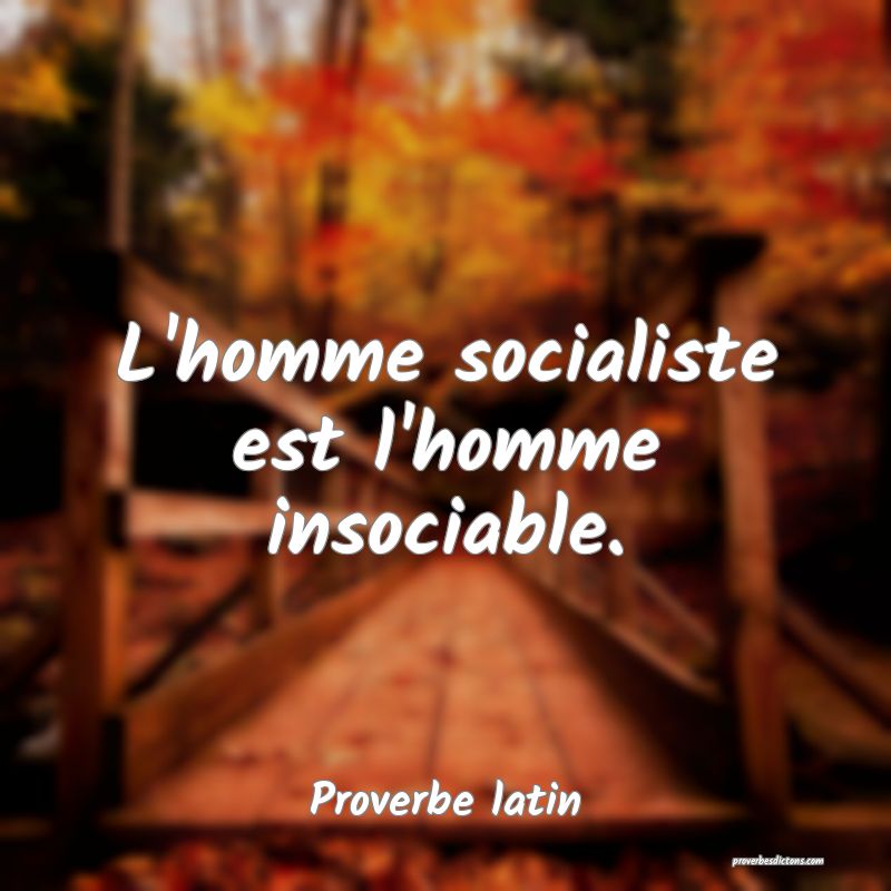 L Homme Socialiste Est L Homme Insociable