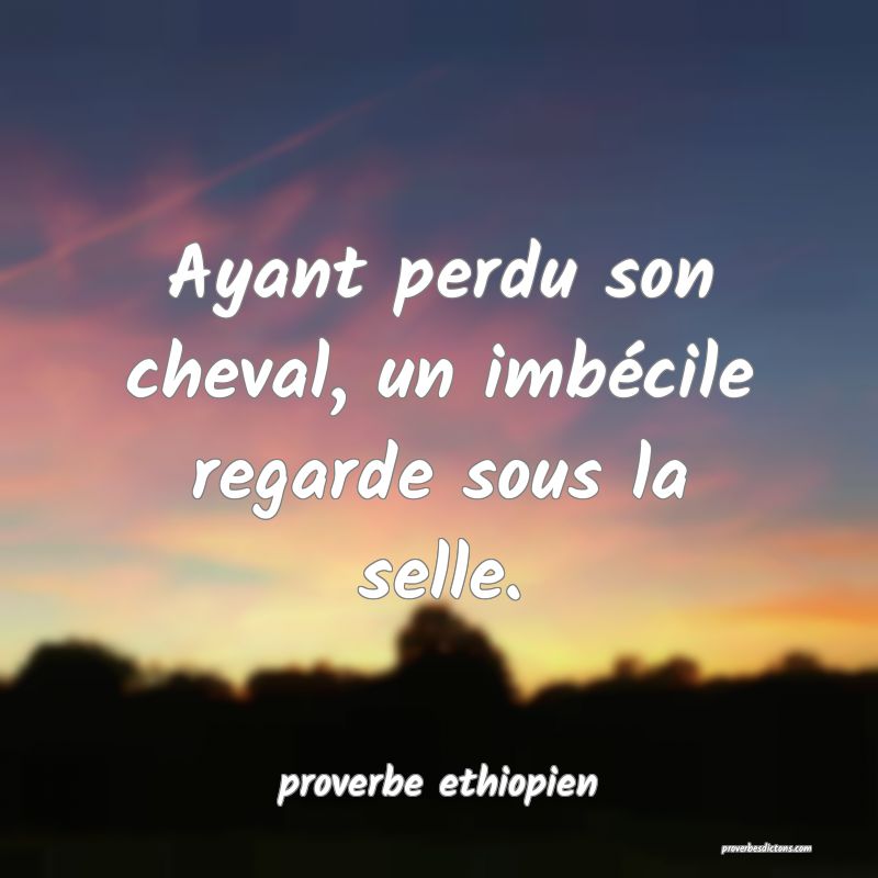 à Cheval Donné On Ne Regarde Pas La Bride