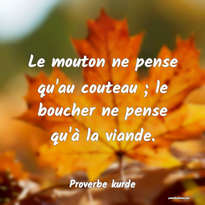 Le mouton ne pense qu'au couteau ; le boucher ne pense qu'à la viande.