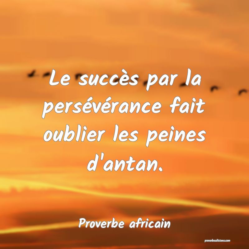 Le Succes Nait De La Perseverance