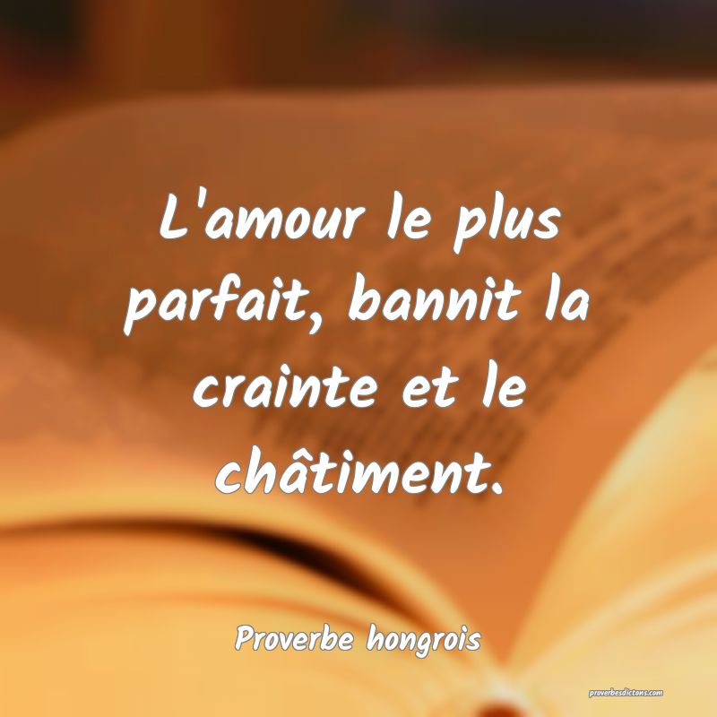 L Amour Le Plus Parfait Bannit La Crainte Et Le C