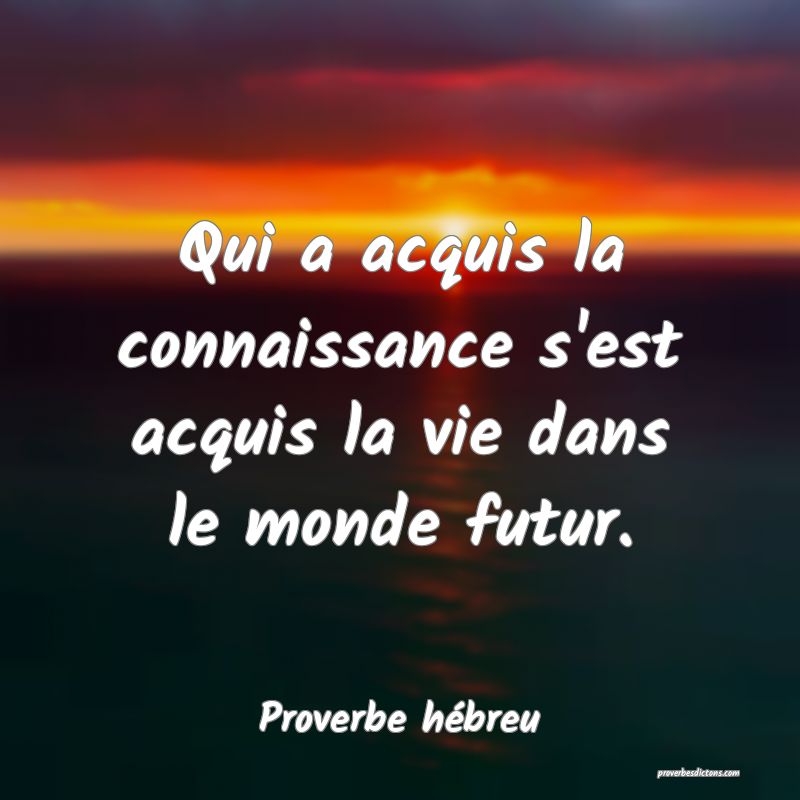 Le Bien Mal Acquis Se Perd De La Meme Facon