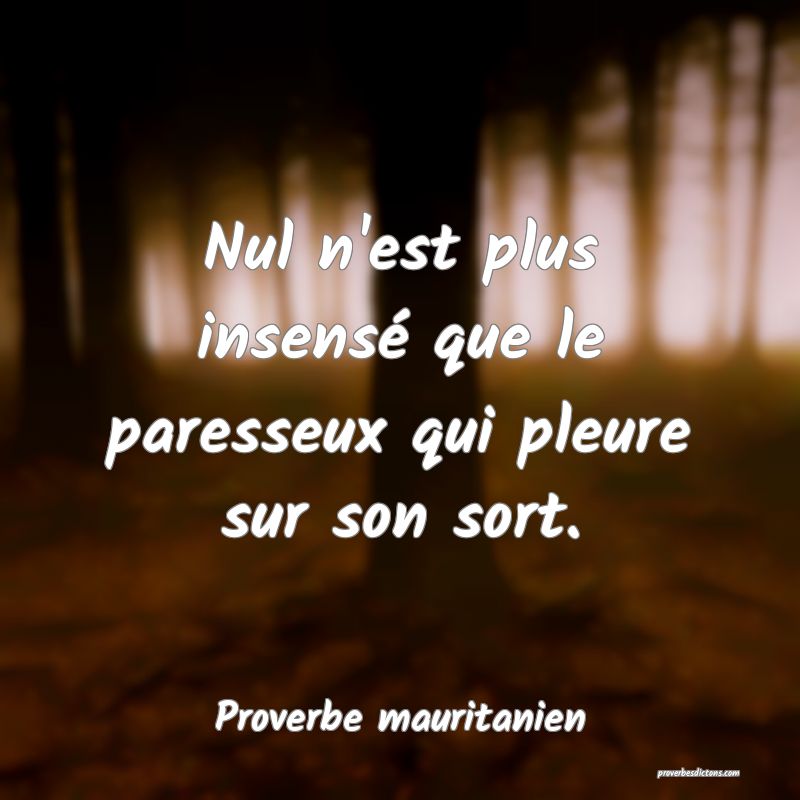 Proverbe Mauritanien
