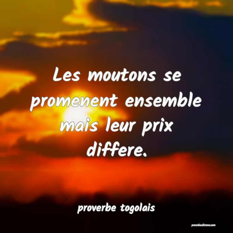 Proverbe Togolais