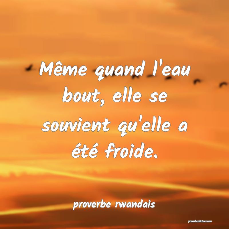 La Deception Ne Tue Pas Elle Saigne Au Fond Du C