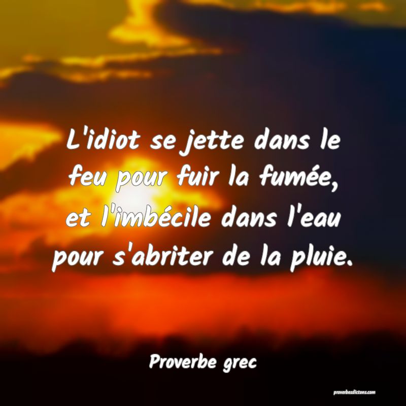 L Idiot Pour Ne Pas Etre Blesse Dans Son Amour