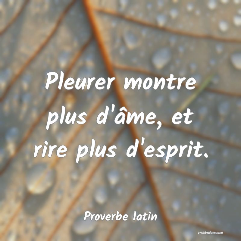 Il Faut Rire Pour Ne Pas Pleurer