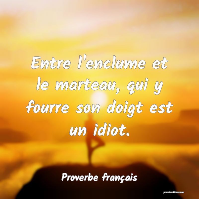 Se Trouver Entre Le Marteau Et L Enclume Entre l'enclume et le marteau, qui y fourre son do...