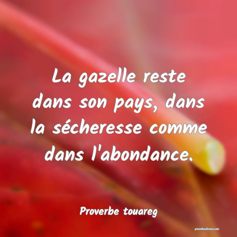 Proverbe Touareg