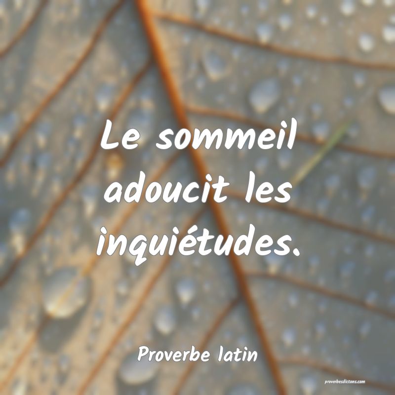 Le Sommeil Adoucit Les Inquietudes