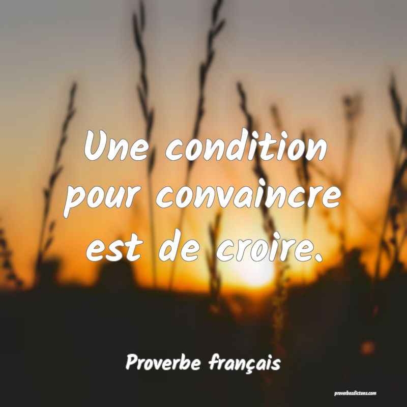 Une condition pour convaincre est de croire....