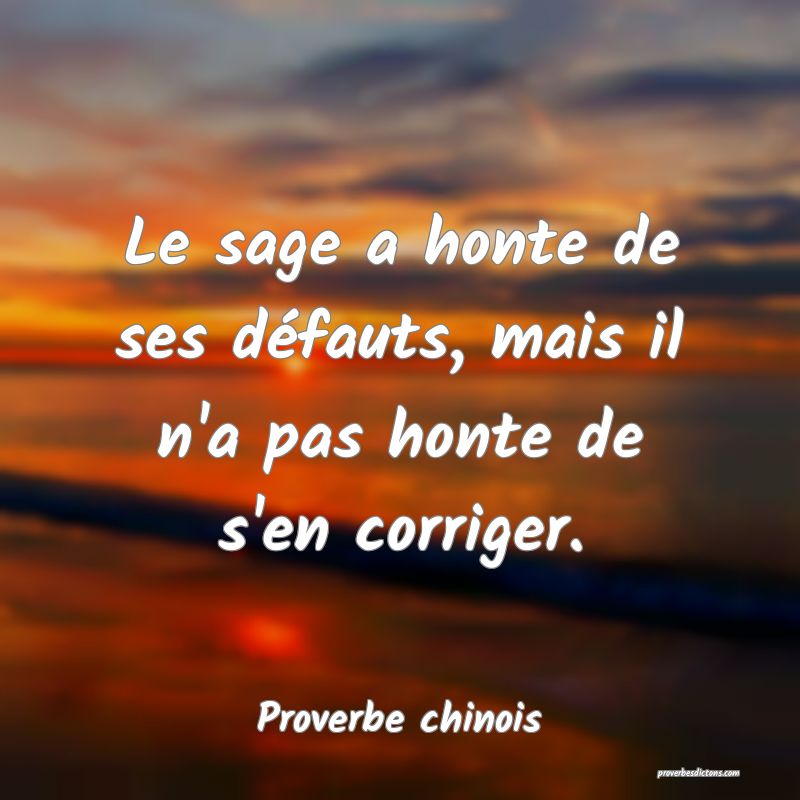 Le Sage A Honte De Ses Defauts Mais Il N A Pas H