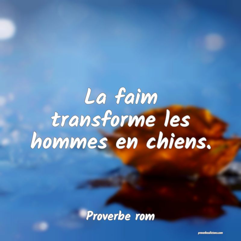 La Faim Transforme Les Hommes En Chiens