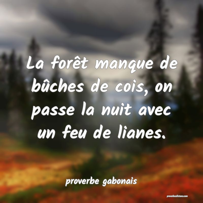 proverbe gabonais -  La forêt manque de bûches d ... 