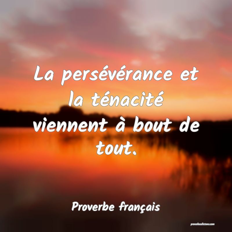 La Perseverance Et La Tenacite Viennent A Bou