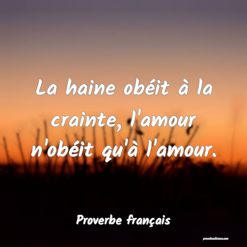 La Haine Obeit A La Crainte L Amour N Obeit Qu