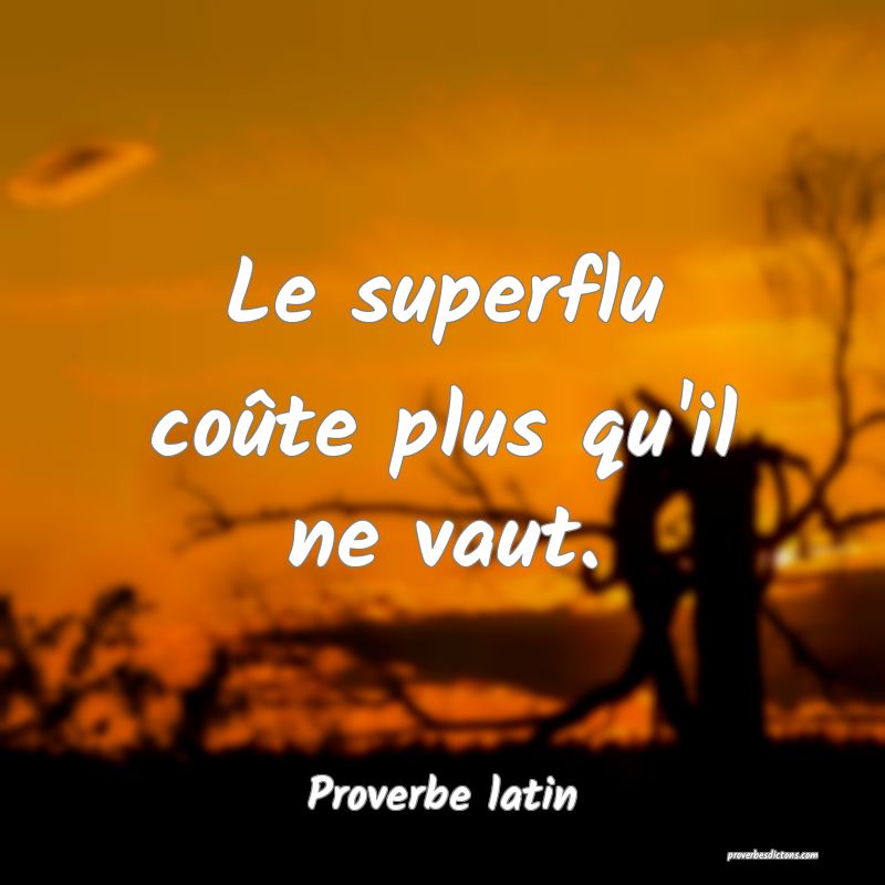 Le Superflu Coute Plus Qu Il Ne Vaut