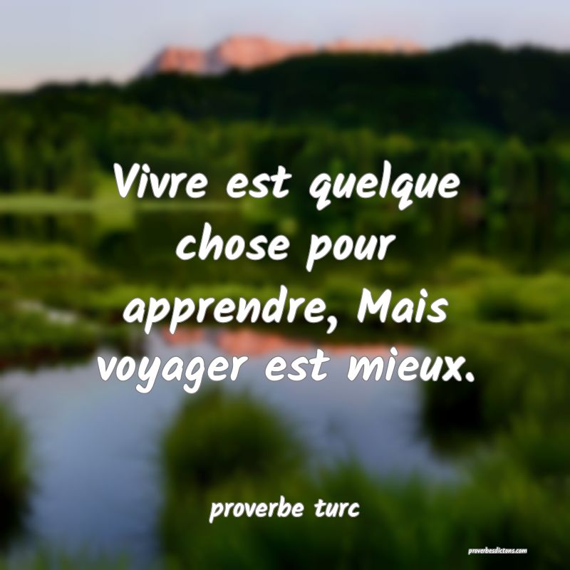  Vivre est quelque chose pour apprendre, Mais voyager est mieux. 