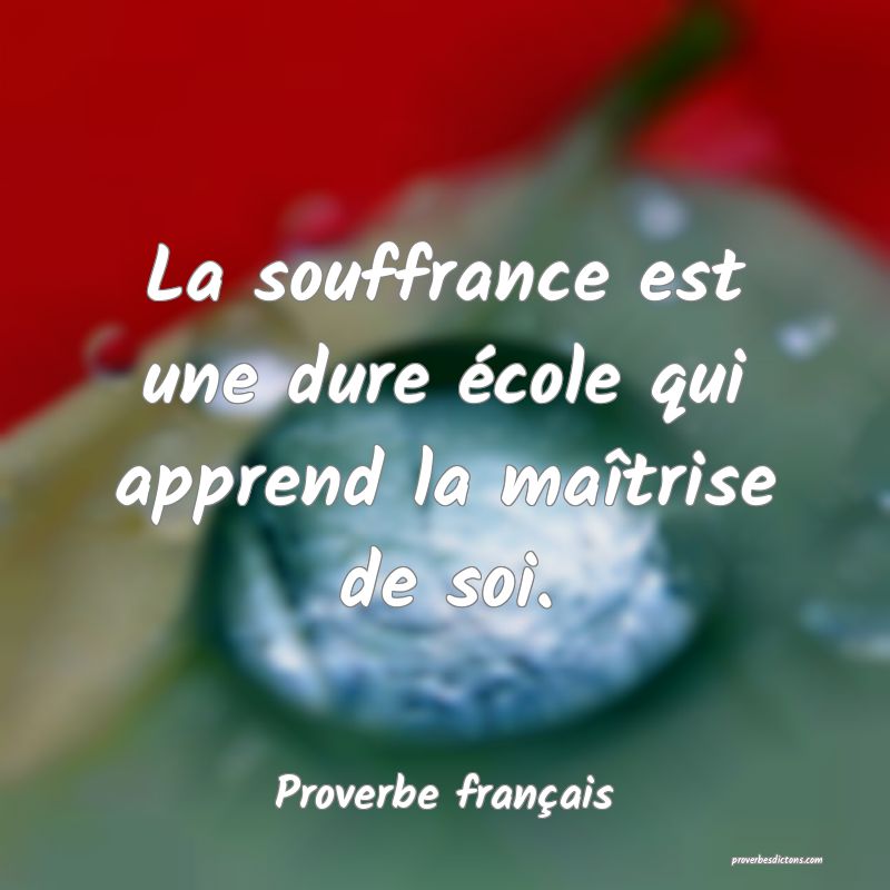 La Ou Il Y A Amour Il Y A Souffrance