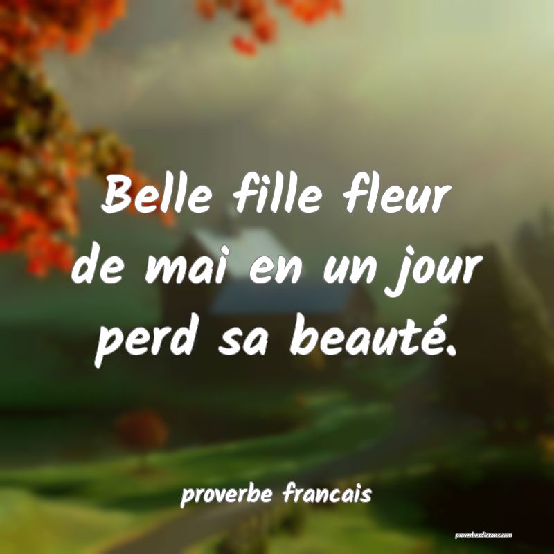 proverbe francais -  Belle fille fleur de mai en u ... 