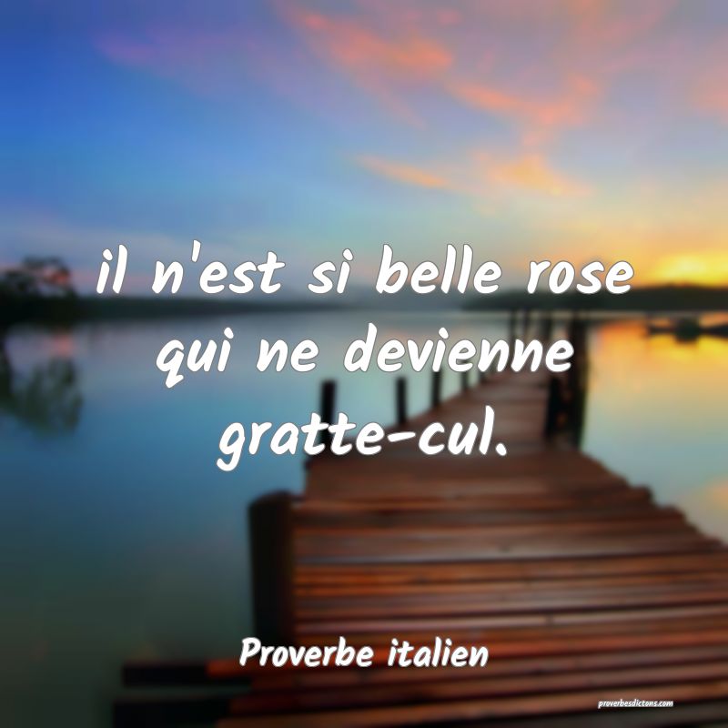 Proverbe italien - il n'est si belle rose qui ne d ... 