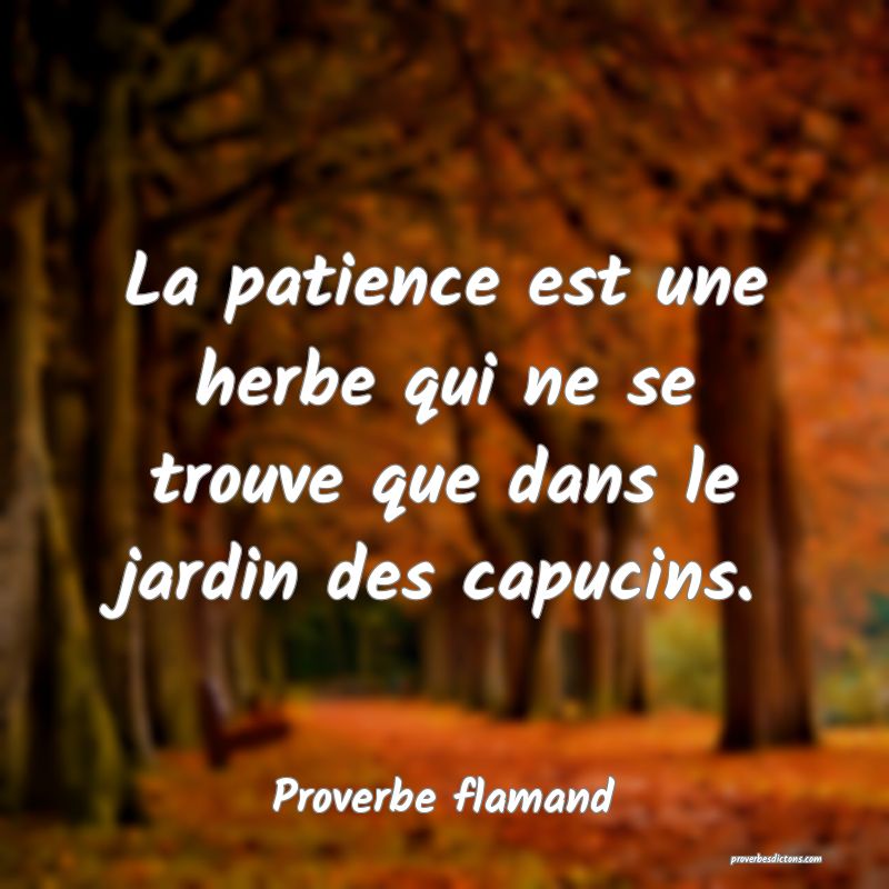 La Patience Est Une Herbe Qui Ne Se Trouve Que Dan