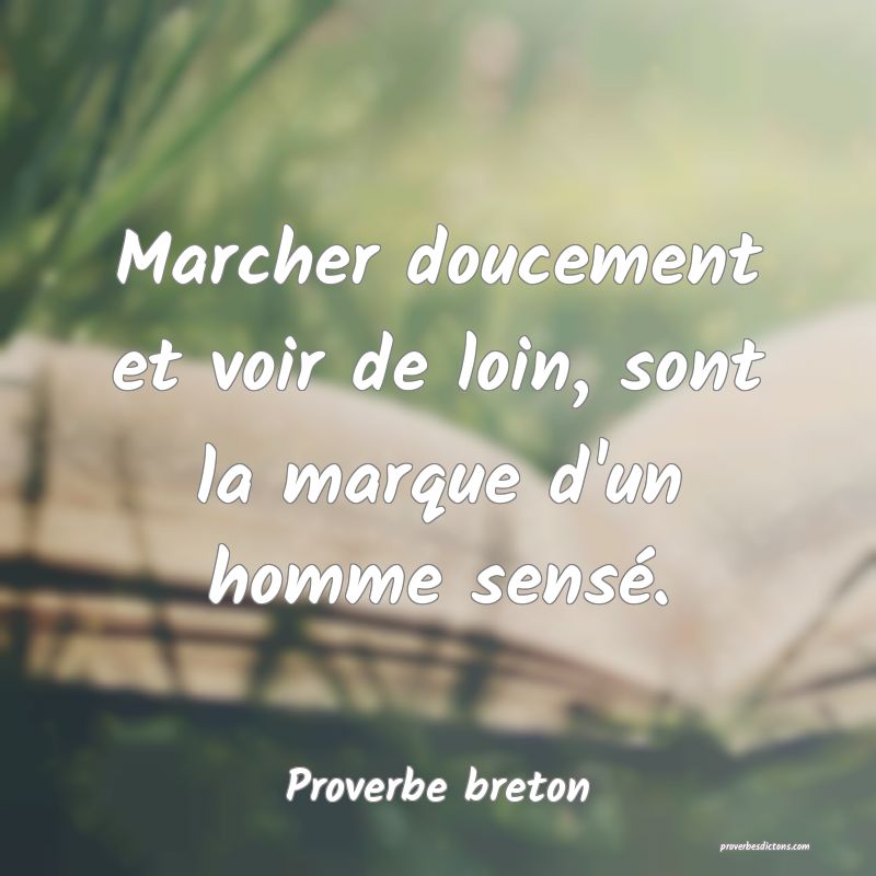 Proverbe breton - Marcher doucement et voir de loi ... 